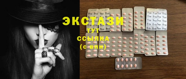 ECSTASY Костерёво