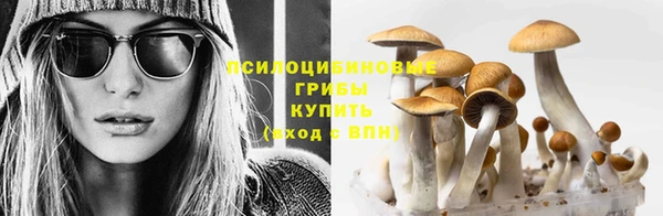 кокаин премиум Корсаков