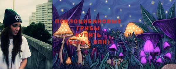 ECSTASY Костерёво