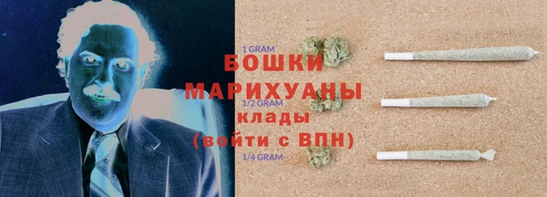ECSTASY Костерёво