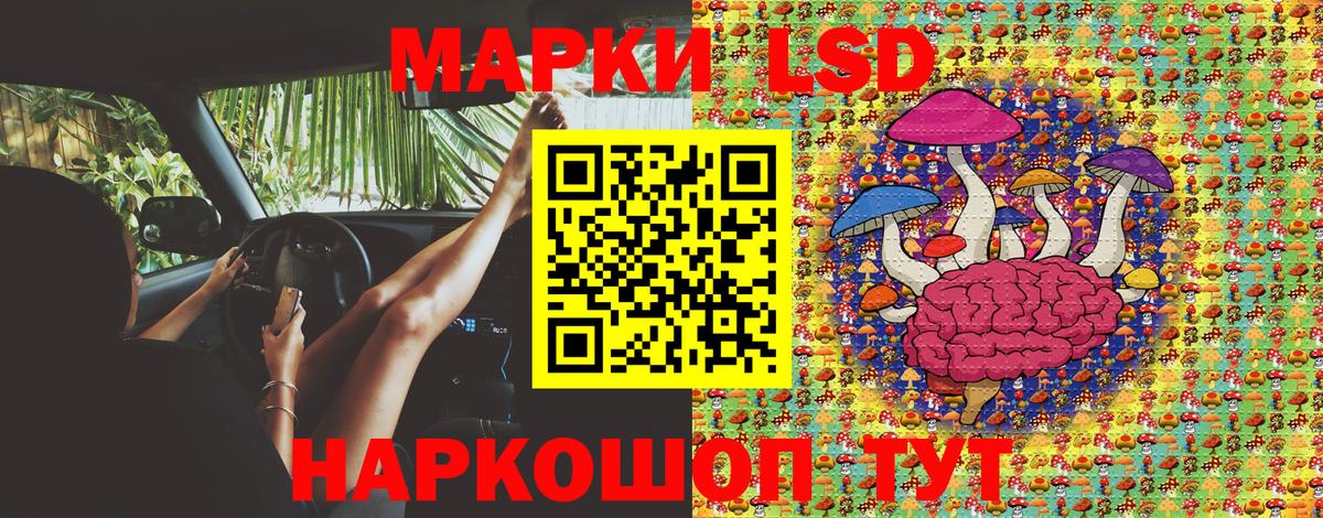 Котлас  Наркотические марки 1,5мг  Вход с VPN 
