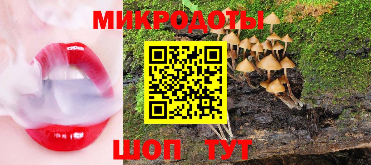 Псилоцибиновые грибы Psilocybine cubensis Котлас