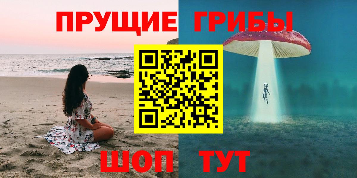 хочу наркоту  Вход с VPN  Котлас  Псилоцибиновые грибы Psilocybine cubensis 